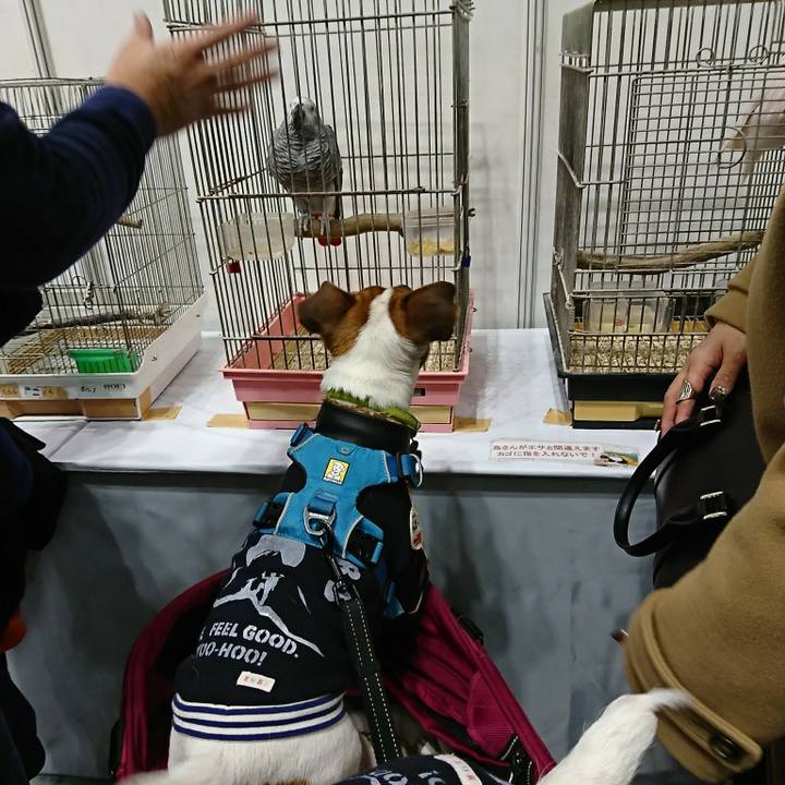 B29490ec 8435 46e9 a56c 2bcd7694fb6a 1578738632957