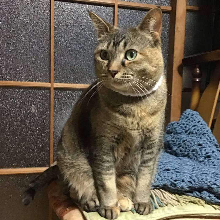 B2949467 c735 4f2c b111 36ae73cff4ec 1746617916069