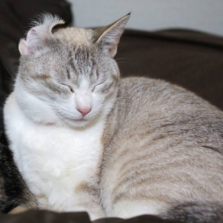 B294cd4b 51df 4864 b59e 7383370c87a3 1515895340024