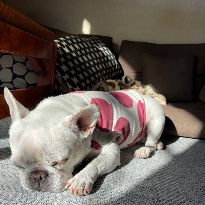 B294d01d 9849 4270 8a12 44ad791b7146 1733871002187