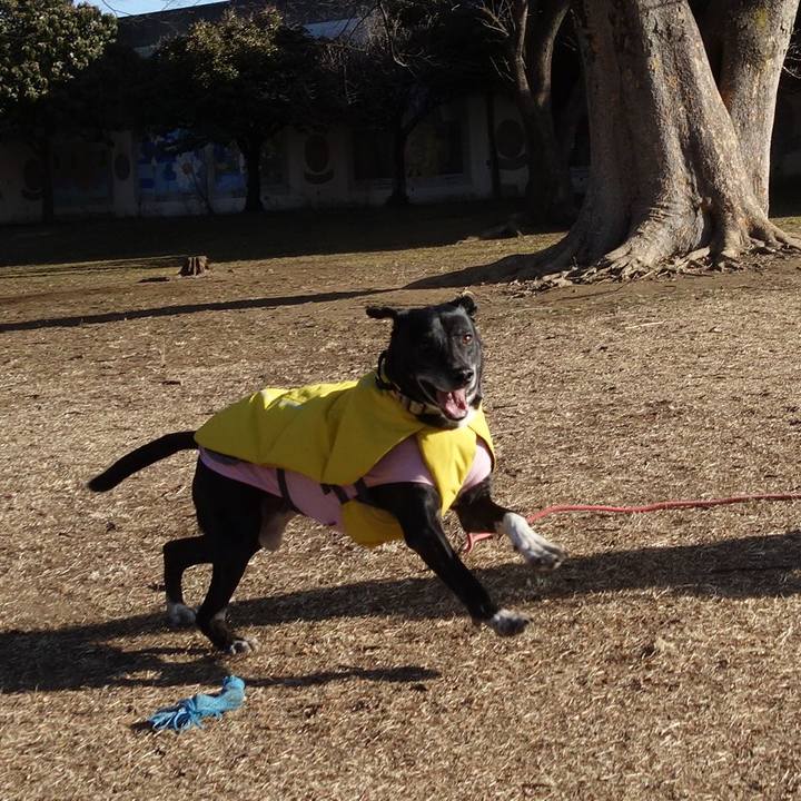 B294d70d adb9 4025 8dc9 77de3cb500dc 1739839515546