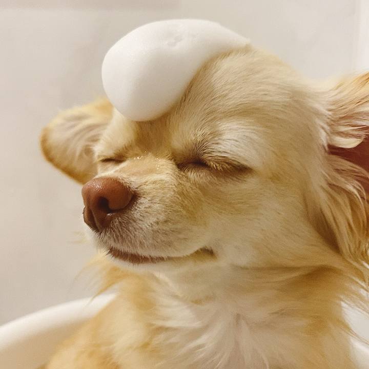 B294f0a1 df59 4a16 bbd9 8394acdba6c3 1617716200086