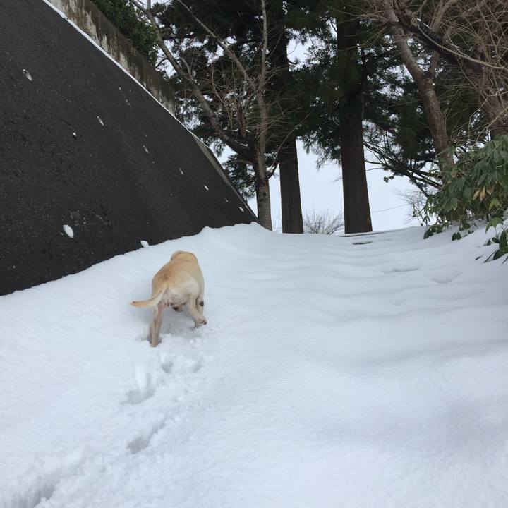 B295166f 2e63 4970 ae8e 1a8ba4a7f0ab 1515031093305