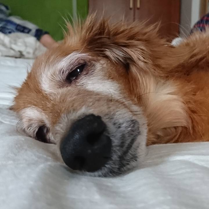 B29544a6 2c5d 4063 95a7 049d6771dbda 1581961427284