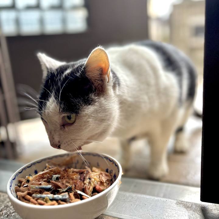 B295cd13 2b5b 4769 84a1 c14b5eb9b079 1766296056885