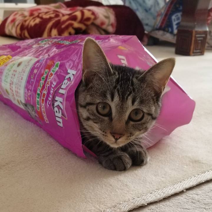 B295dda3 42dd 47db 8a41 c2f4d2868156 1672466342236