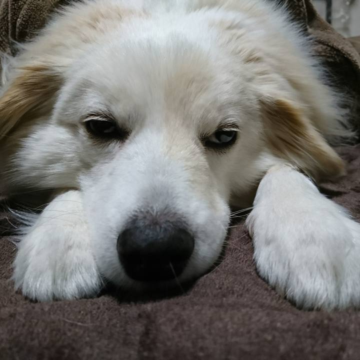 B296186c 1d36 4eec 9927 825d63fc4b3a 1519678666083