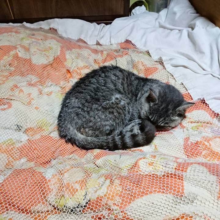 B2962543 166b 48fb 8b1a e7f235cbc3f9 1574164185486