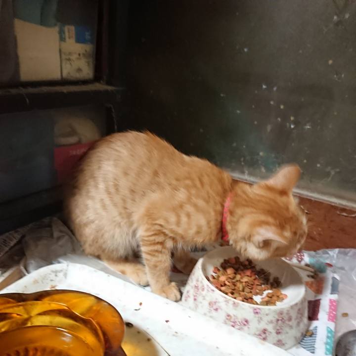 B2962ec4 0f7c 4f88 aef4 c65137ff03d2 1632735205358