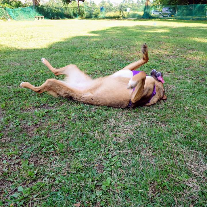 B29657d3 6fa0 4e0f 889f 49cf2c3ad392 1749258677319