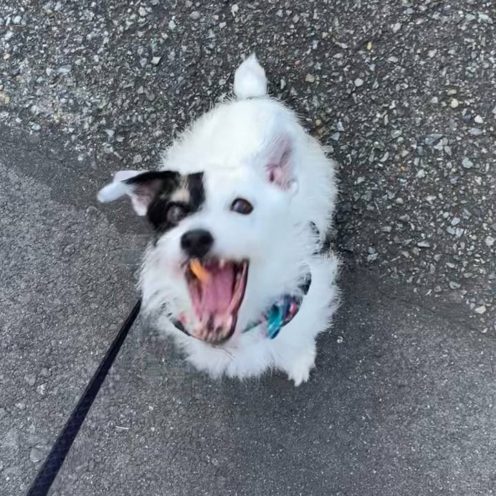 B29665c3 bbab 4199 9cf4 a9e374483583 1724021866777