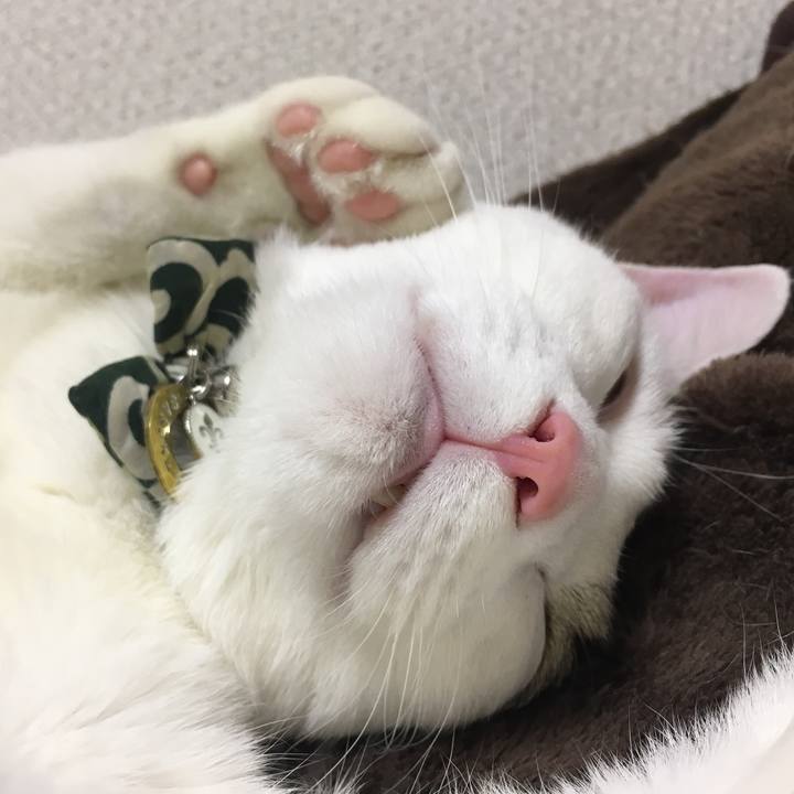 B2968474 5df1 44c8 bfc6 95c1105b218e 1515846377044