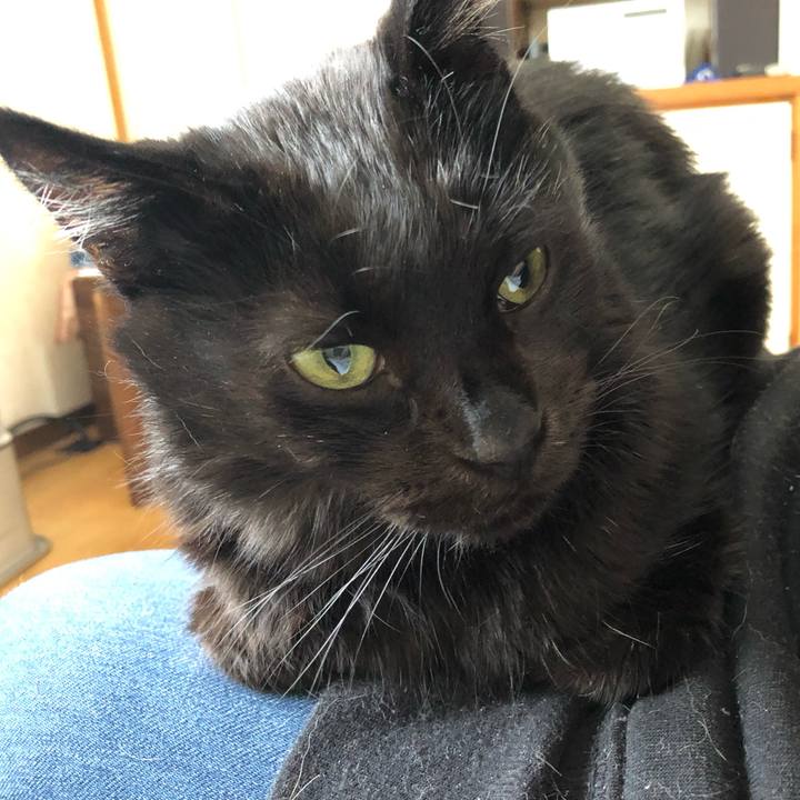 B2969a60 ac9d 4778 b708 75236bc92be2 1575697991784