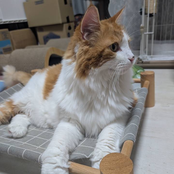 B296b228 566d 4f96 9d36 d4778c13bc6a 1758768775101