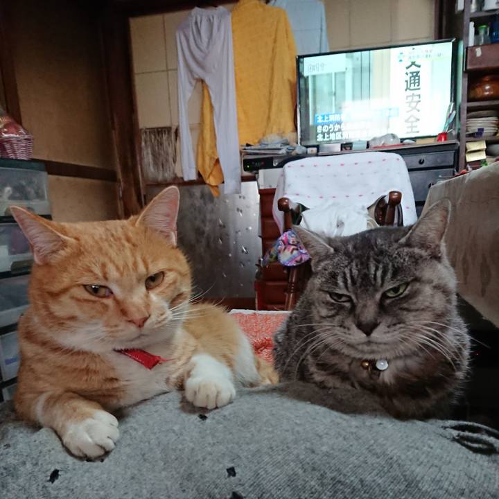 B296bd92 4521 4804 80a0 f225e8660ecd 1575776119586