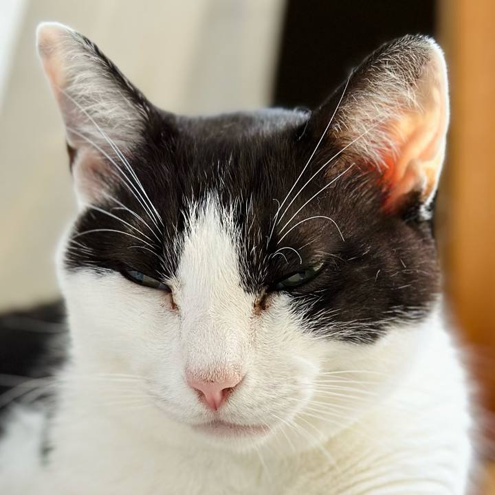 B296df96 fddb 4e17 b122 fbcc307ada7d 1693876934110