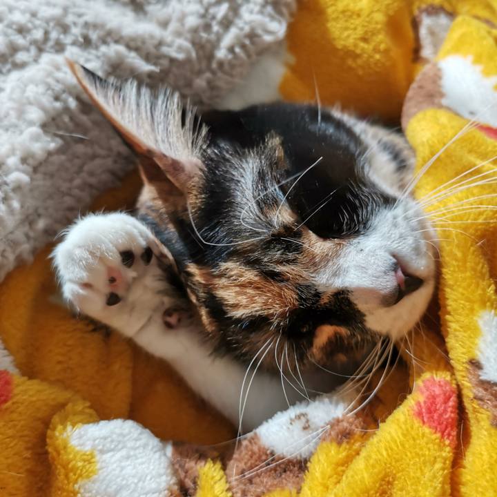 B2970d3e a1ed 4158 a40a 3fcf9de34a16 1642995933263