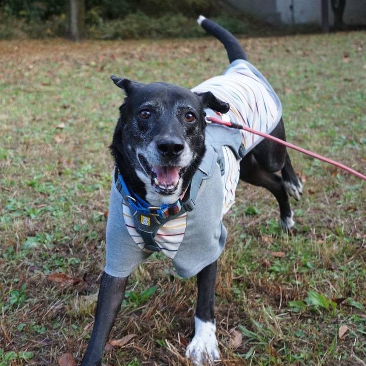 B2972d01 3cbf 43e7 b562 866ef034f36f 1764205953685