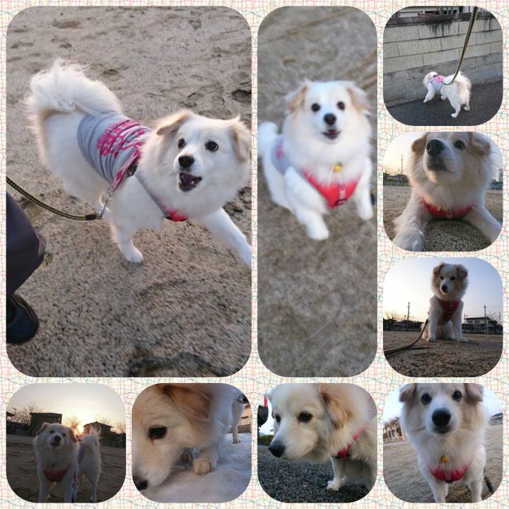 B2974b22 8434 4cd2 bb64 067f334b5c74 1519423567905