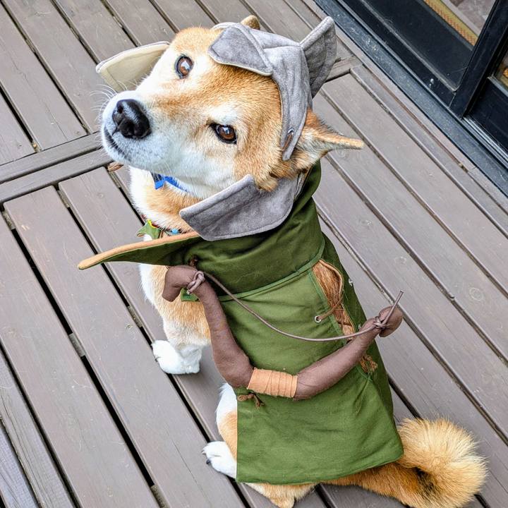 B29752f3 3a50 4ce9 87e5 ebd90f19092a 1763894515853