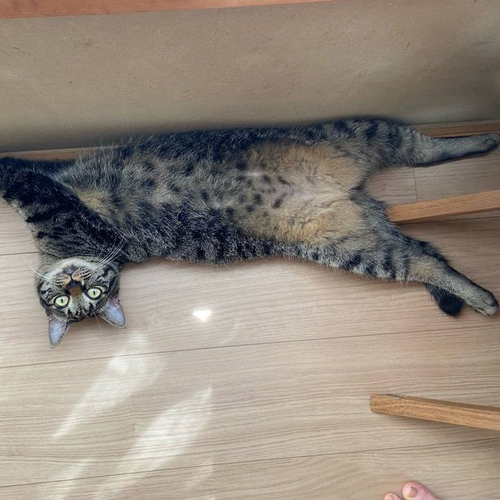 B2976301 a8d6 4933 9efe 0685498532b6 1626607121999