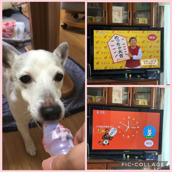 B2976ee3 e364 44f5 810a 0e008f3e00cb 1759703135288