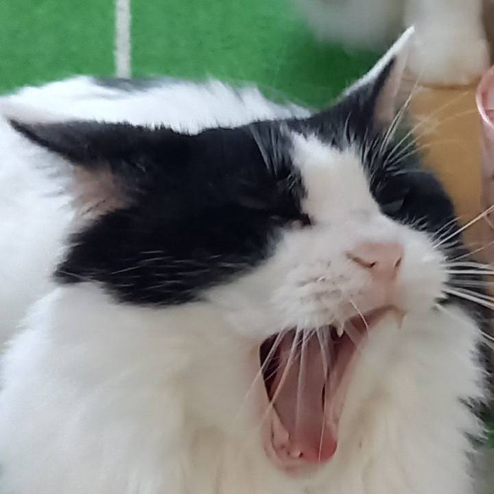 B29778bf 4eea 473f 8ebe 6960a9e6a22e 1691801426396