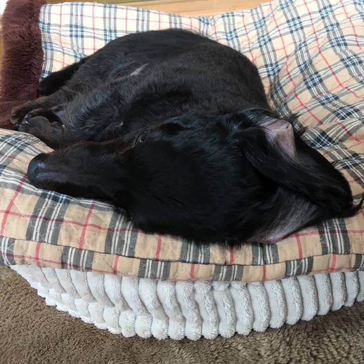 B297b2a9 9175 41f8 8c5c b8c1e16ff6c3 1525644965382