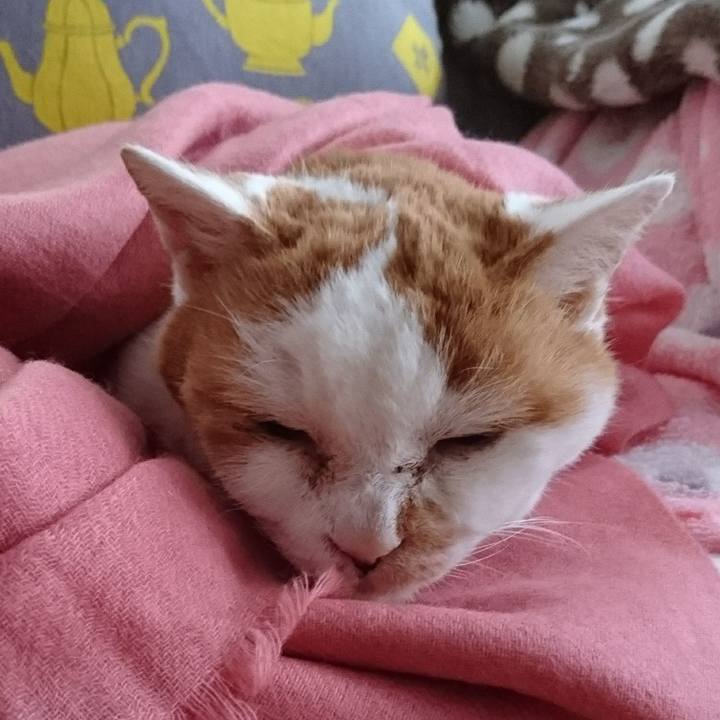 B2981615 37de 4126 8c5a 34e596f306bd 1671237834439