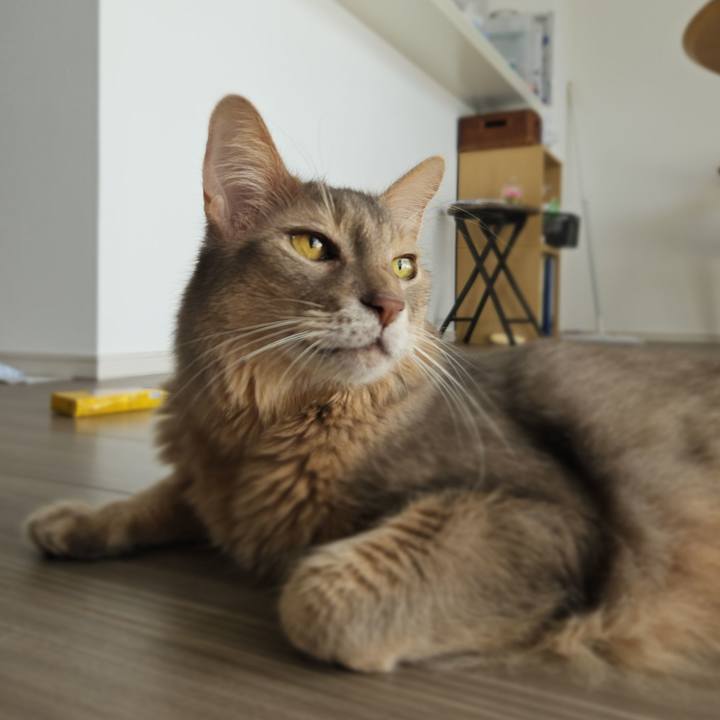 B2981d3e caca 4059 932b 11b22cd46879 1759978596169