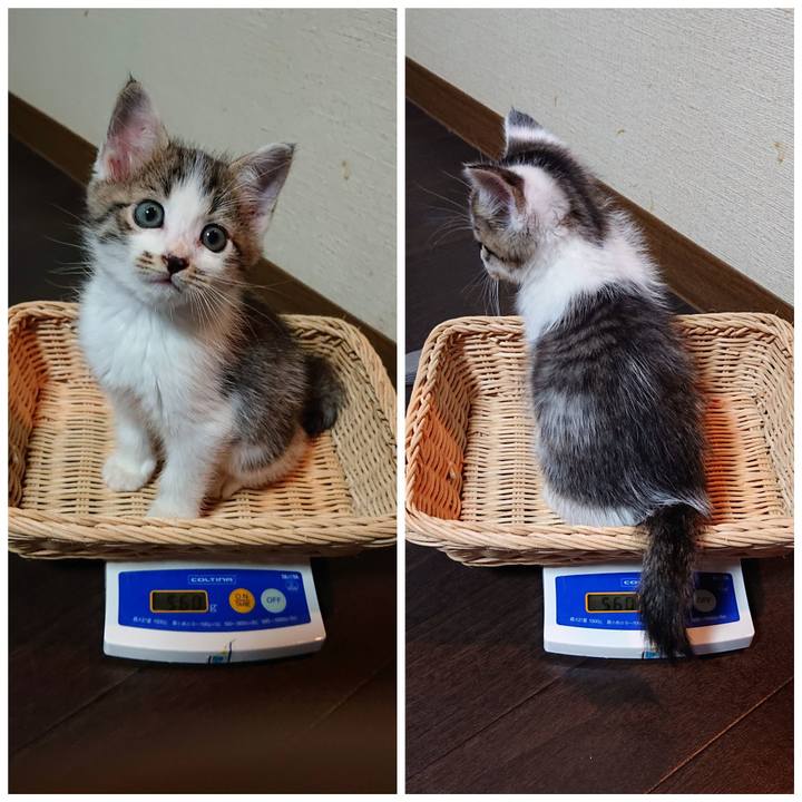 B2981e85 a21f 4b6f 8dbd da2766da514d 1538975553276