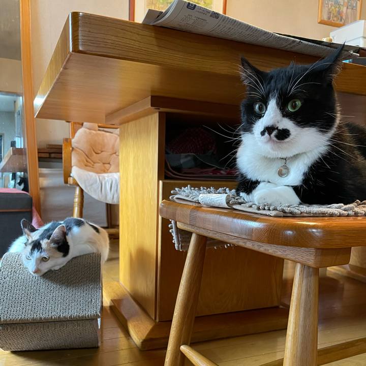 B298249c 8d46 4808 b9e5 3720de111767 1719618388123