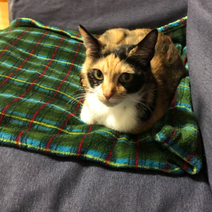 B2984d0c ef3e 4f5b 908f e9bd656baf97 1547458950417