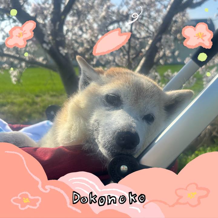 B298697d f3e2 407f a8fd 5470b8e22292 1775348524499