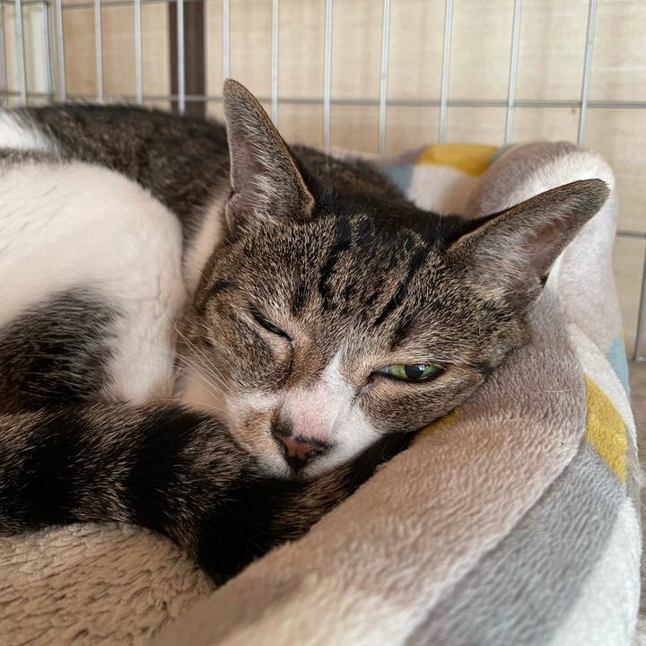 B29878ca 0bec 4cec 9859 ec7c747ef2a7 1630110258539