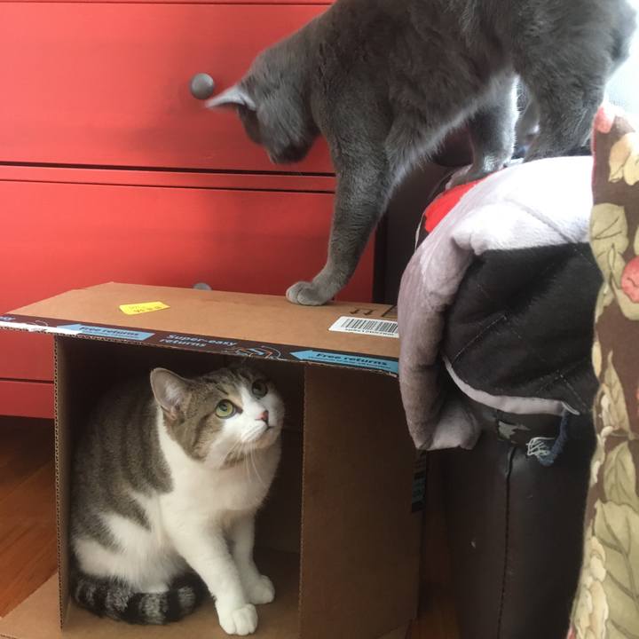 B298831b 7c2d 445b 9fe2 9c8b5140b4a3 1633048162850