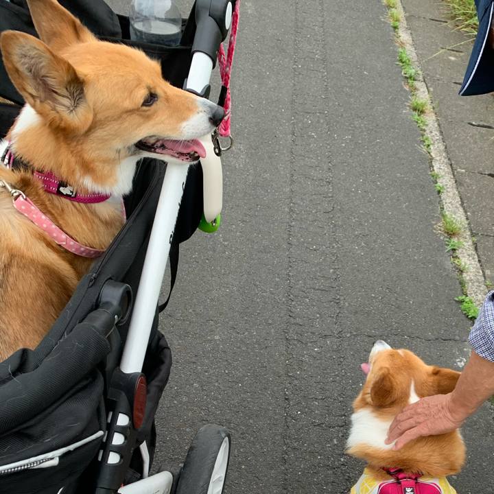 B2991ef1 2ccc 43a8 8dbe a071b08fc82f 1621483159957