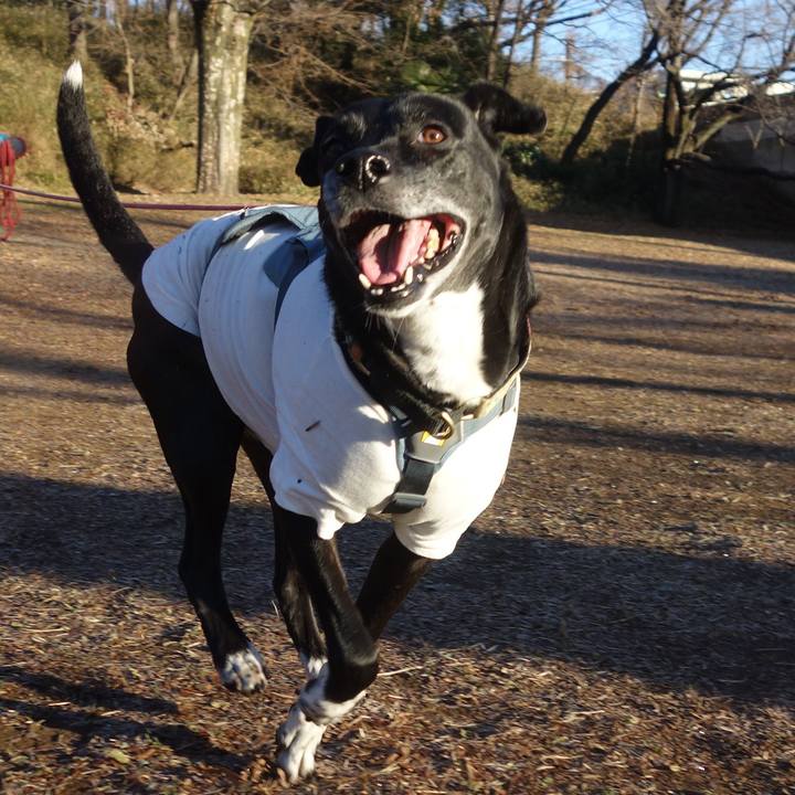 B29954b2 c3bf 44d5 b647 158e7a1fe5f3 1705452920442