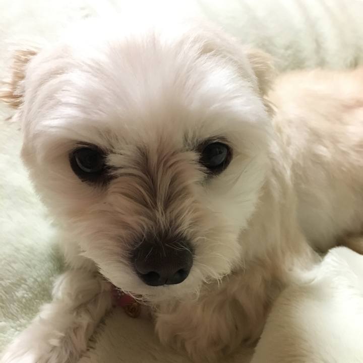 B2995732 b77a 459e a498 e1103ef0591d 1519640013307