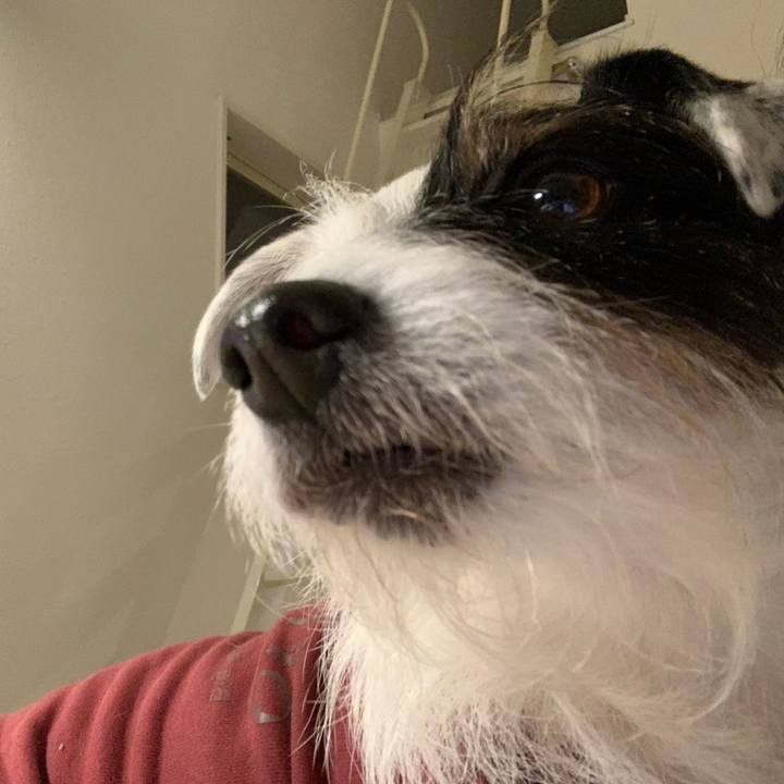 B2997997 d594 4f09 9853 909ee5b8d5a6 1643712007554