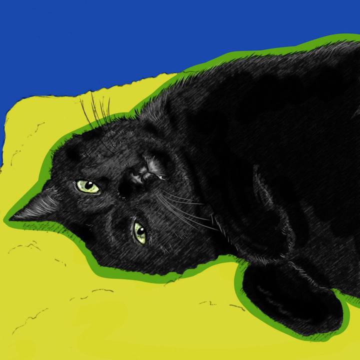 B2999db1 1ff2 40eb bbf2 a52ca15c5845 1659882459447