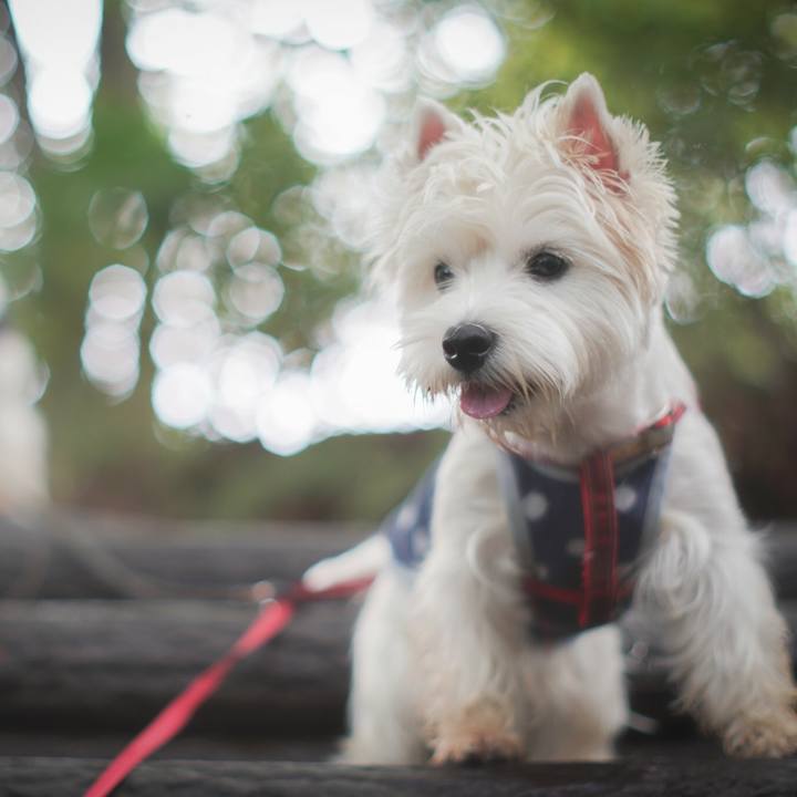 B299a44d 0b9e 429f b2da b457876fdae6 1536207818601