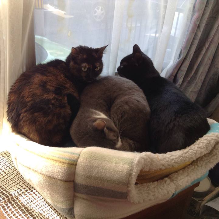 B299eb65 54d2 4d63 aa5b 10b3c9be3275 1514002634878