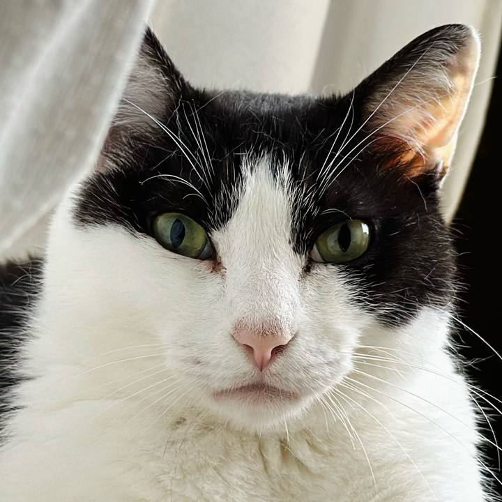 B299ef03 4901 4156 bd4c 78a6c877dc55 1718673158472