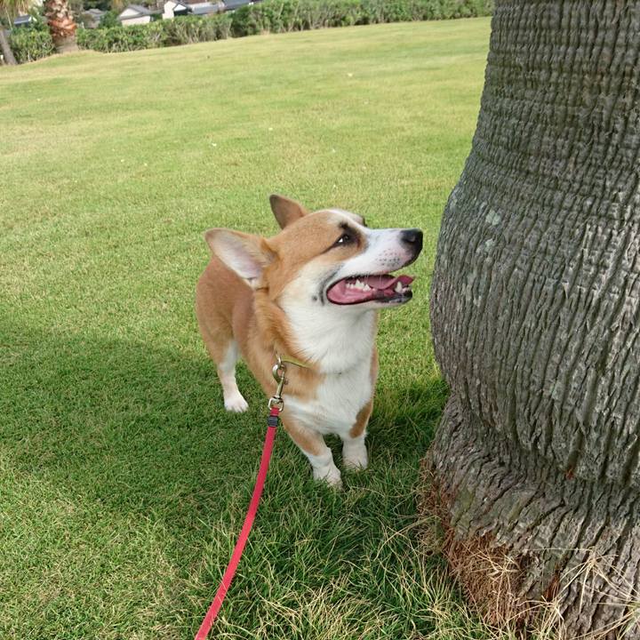 B29a21fc b7a0 4cd5 8653 19dc3d713136 1571725060380