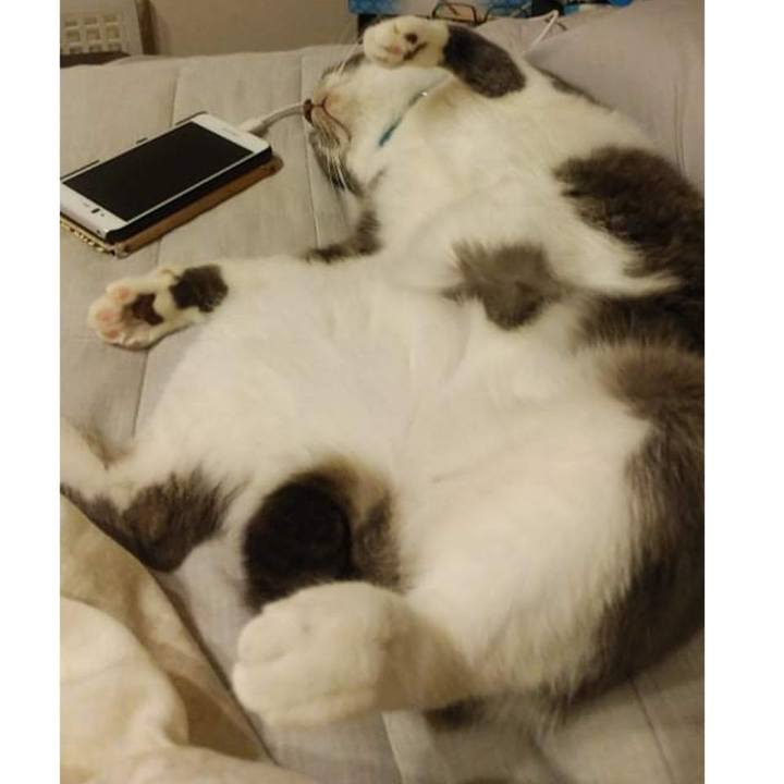 B29a3319 9080 441d b6fa d67dfcc13e12 1631883598913