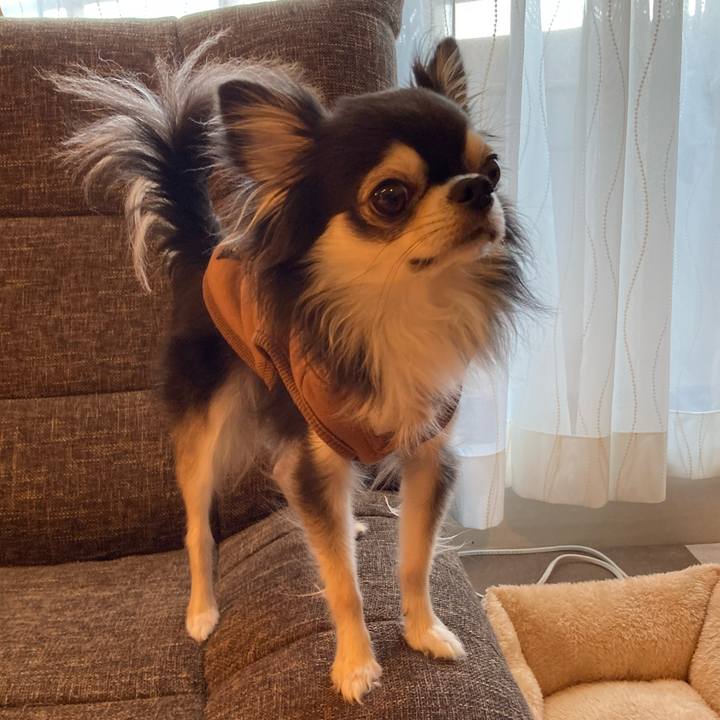 B29a4f44 f752 4489 891a 9f47d48f98af 1708762447200