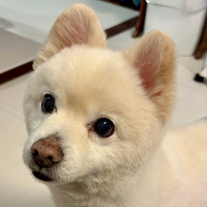 B29acace ff25 41bf aca0 c44d7400778a 1774346334720