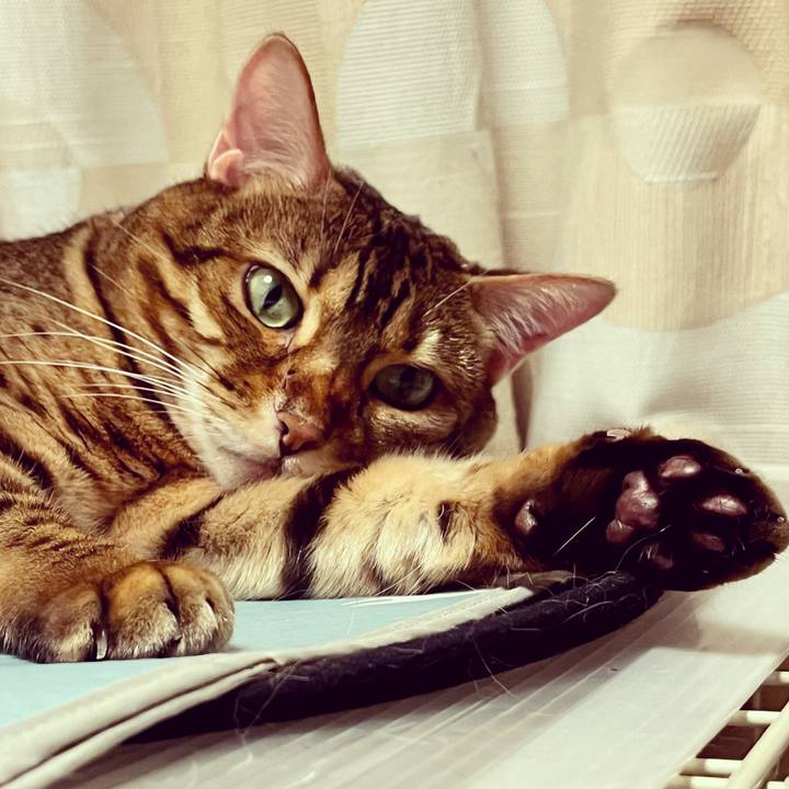 B29ad427 465c 4e7c b67a be4b05c8c34b 1657251320713