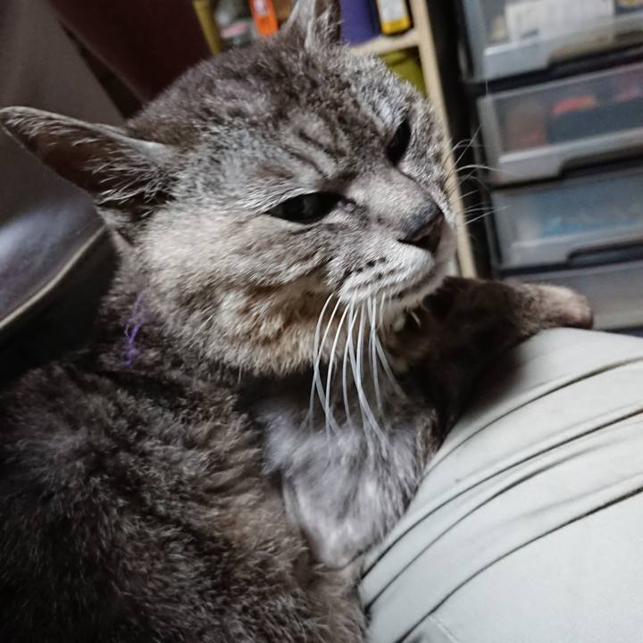 B29adbb1 a246 4297 af74 0ceb157fcfd2 1593288385865